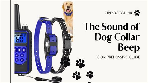 When the dog engages in the undesirable behavior, the collar emits a sound that disrupts the behavior, encouraging the dog to cease the action. . Dog collar beep sound